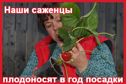 Методы защиты от болезней